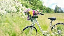 Cykel på äng med blommor